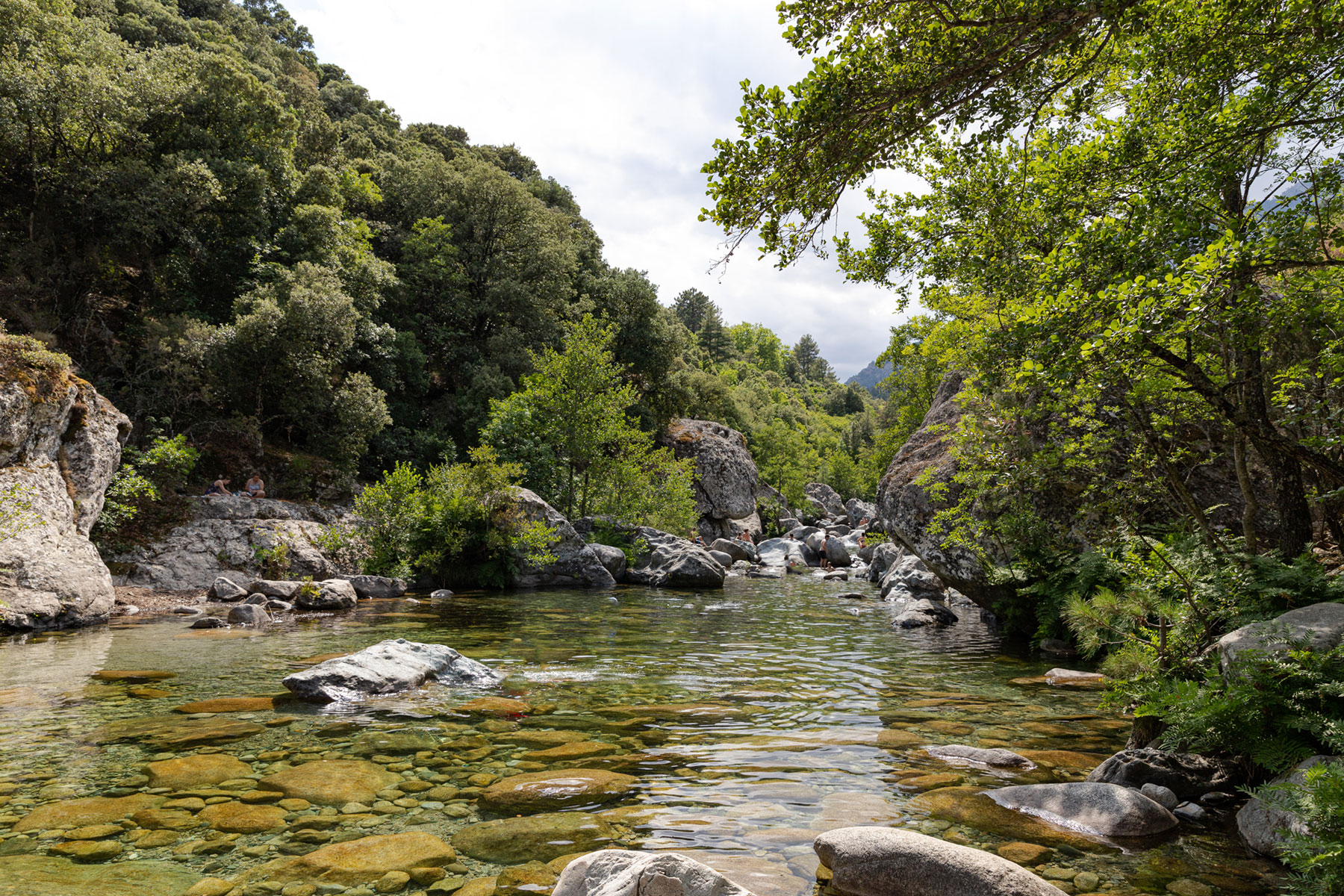 Gorges du Tavignano